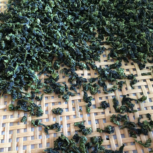 茶葉制作過程