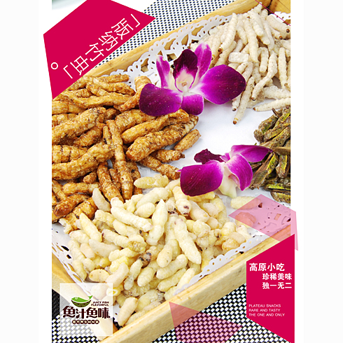 魚汁魚味養(yǎng)生魚火鍋店產(chǎn)品-版納竹蟲