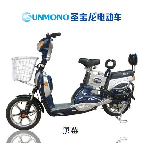 圣寶龍電動車產(chǎn)品-圣寶龍黑莓電動車