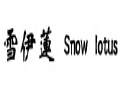 雪伊蓮女裝