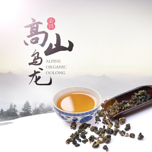 高山有機(jī)烏龍茶圖