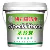 特力森防水涂料-水玲瓏強(qiáng)滲修復(fù)型